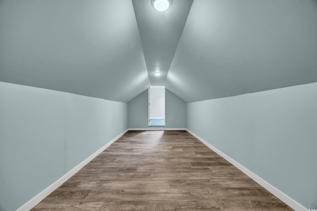 additional living space with lofted ceiling and wood-type flooring