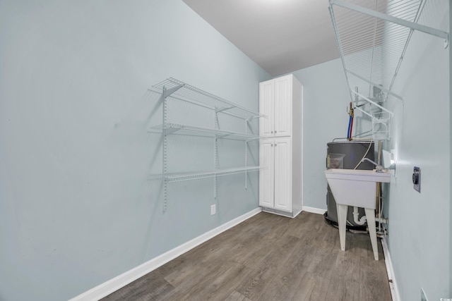 walk in closet with wood-type flooring