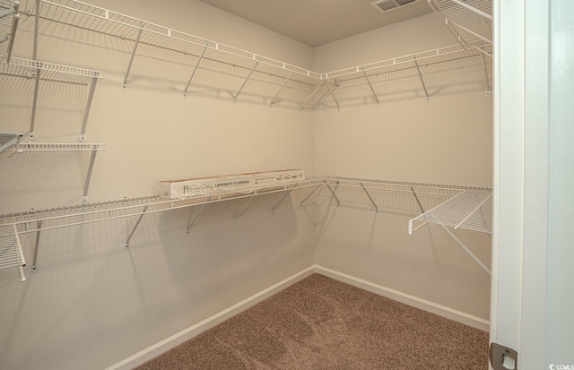 spacious closet with carpet flooring