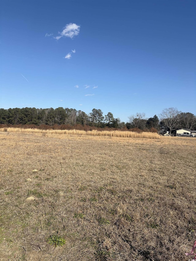 TBDLOT1 Jewel Ln, Conway SC, 29527 land for sale