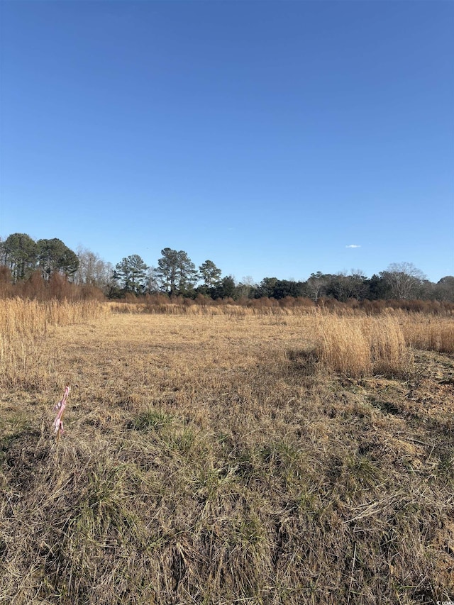 TBDLOT3 Jewel Ln, Conway SC, 29527 land for sale