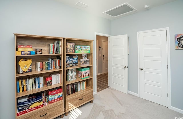 interior space with light carpet