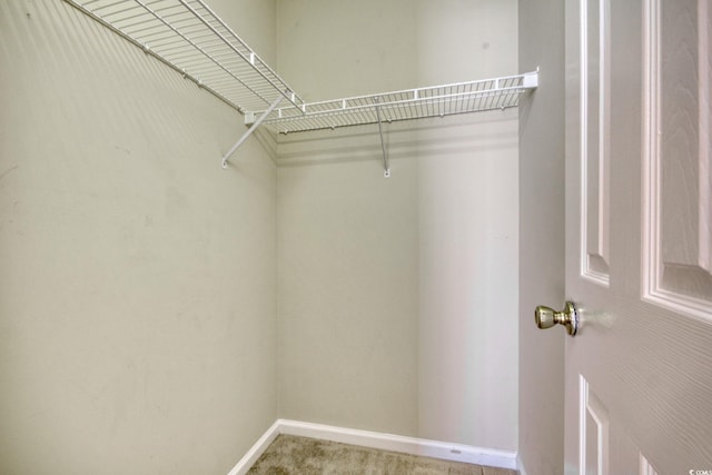 spacious closet featuring carpet floors