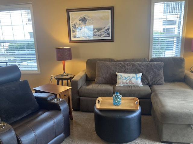 living room with carpet