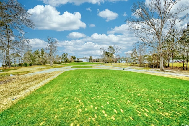 view of community featuring a yard