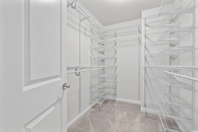 spacious closet featuring light carpet