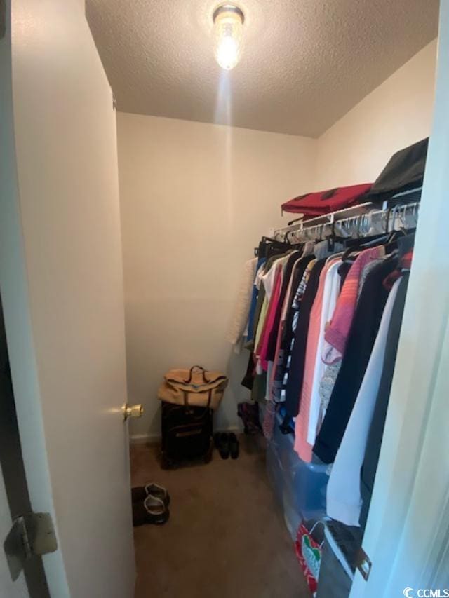8650 Southbridge Dr Unit A, Surfside Beach, SC 29575 - spacious closet featuring carpet