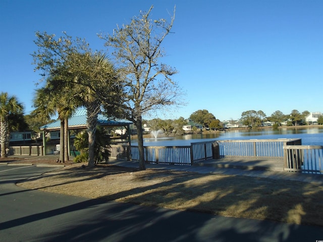 dock area with a water view