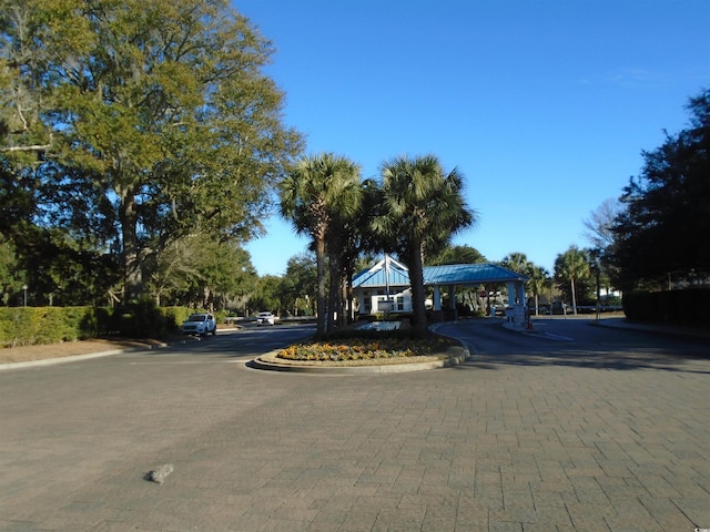 view of street with curbs