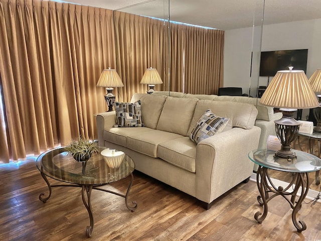 living room featuring hardwood / wood-style floors