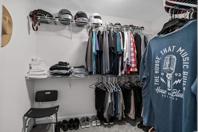 spacious closet with carpet