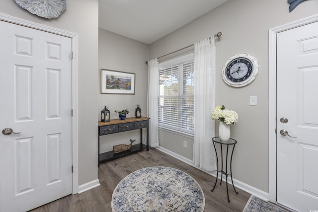 foyer entrance with dark wood-type flooring