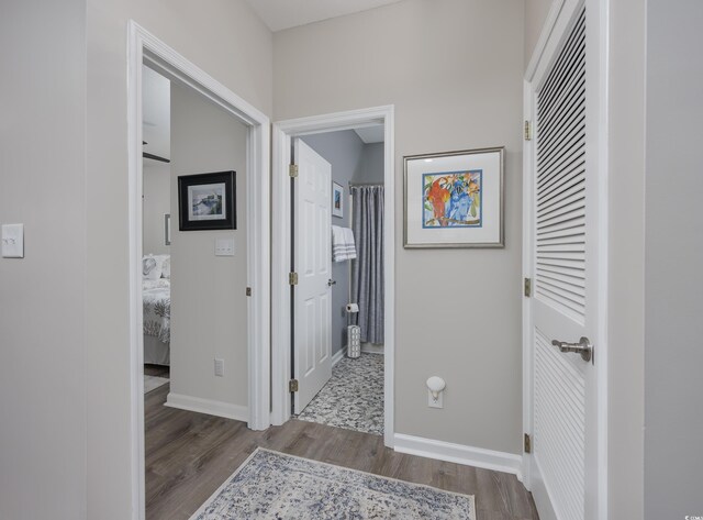 corridor featuring light hardwood / wood-style flooring