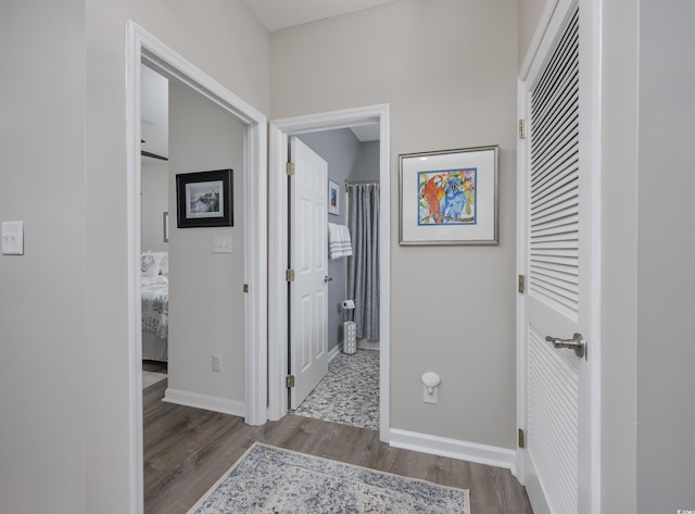 4210 Coquina Harbour Dr Unit A-16, Little River, SC 29566 - hall with wood finished floors