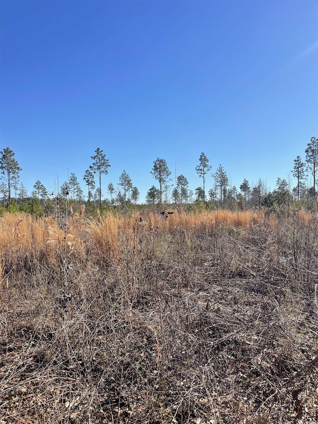 TBD Mincey Dr, Loris SC, 29569 land for sale