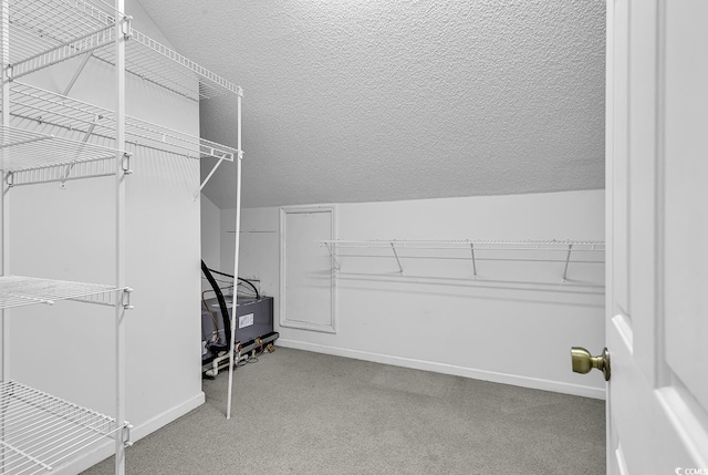 walk in closet with vaulted ceiling