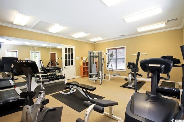 workout area with carpet, a healthy amount of sunlight, and crown molding