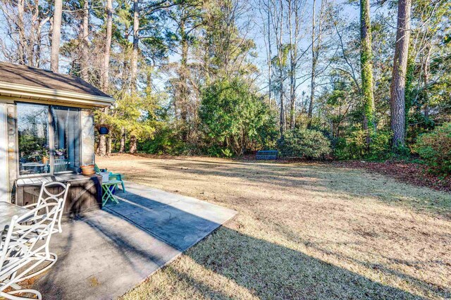 view of yard featuring a patio area