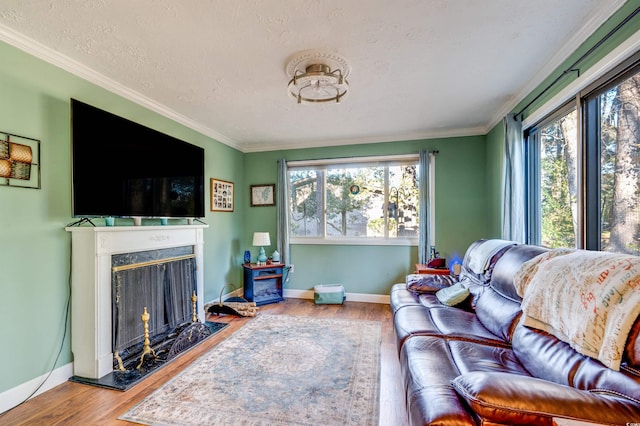 living room featuring hardwood / wood-style flooring, ornamental molding, a textured ceiling, and a fireplace