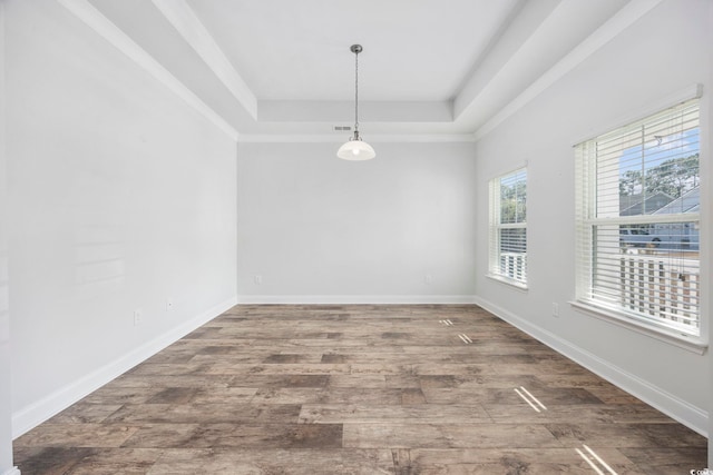 unfurnished room with a tray ceiling