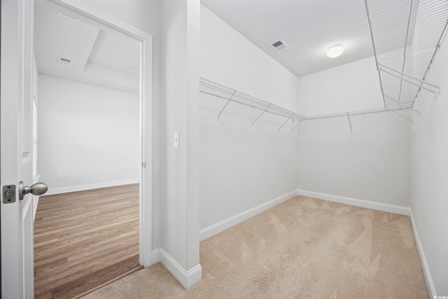 spacious closet featuring carpet flooring