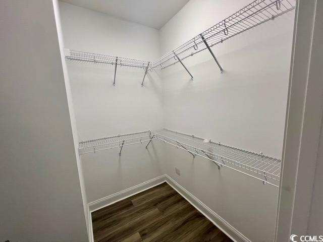 walk in closet with wood-type flooring