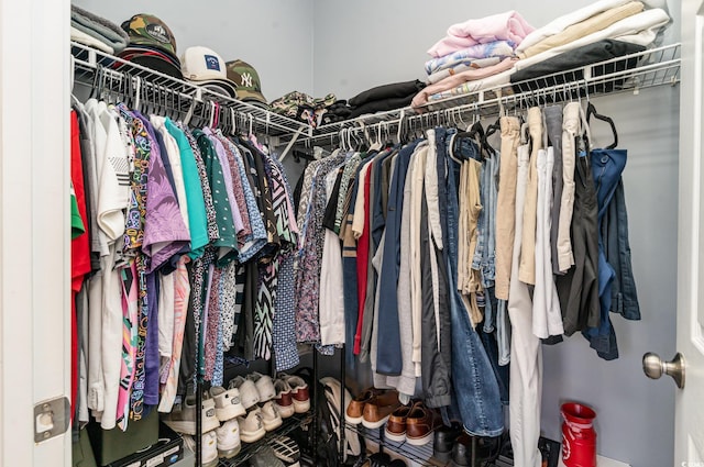 view of walk in closet