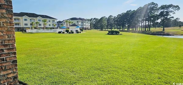 view of property's community with a yard