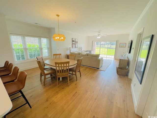 dining area with ceiling fan and light hardwood / wood-style flooring