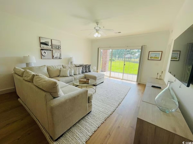 living room with ceiling fan and wood-type flooring