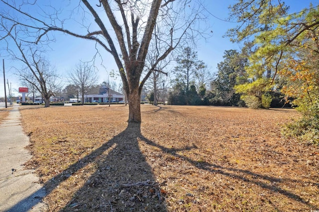 3540 Main St, Loris SC, 29569 land for sale