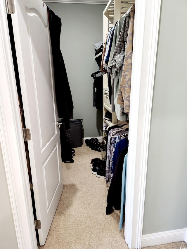 spacious closet with carpet floors