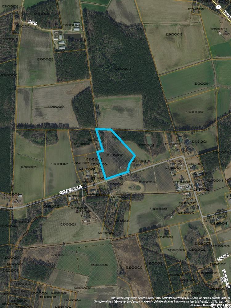 TBD Three Bend Rd, Nichols, SC 29581 - photo 1
