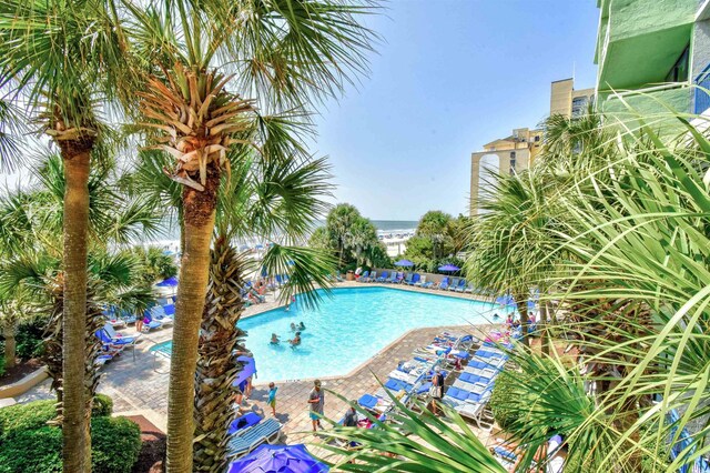 view of swimming pool featuring a patio area