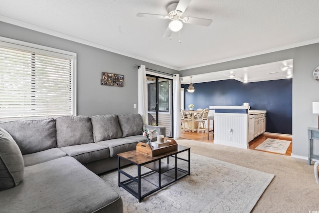 carpeted living room featuring ceiling fan and ornamental molding