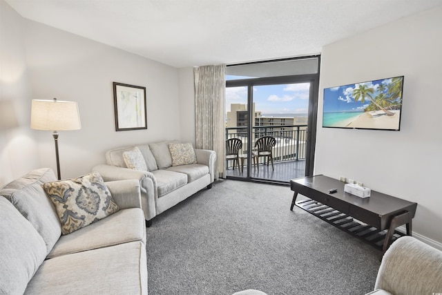 living room featuring carpet flooring and floor to ceiling windows