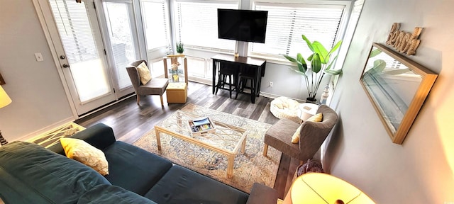 living area with a healthy amount of sunlight, baseboards, and wood finished floors