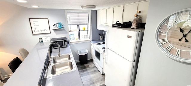 kitchen featuring light wood finished floors, light countertops, white cabinetry, a sink, and white appliances