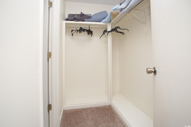 spacious closet featuring carpet floors