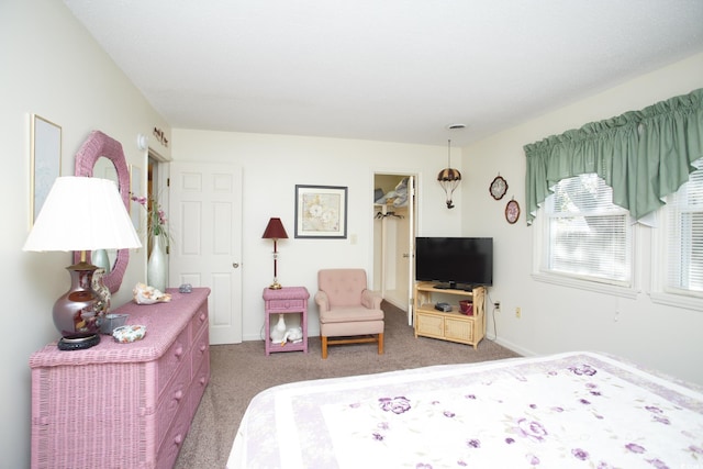 bedroom with a walk in closet and dark colored carpet