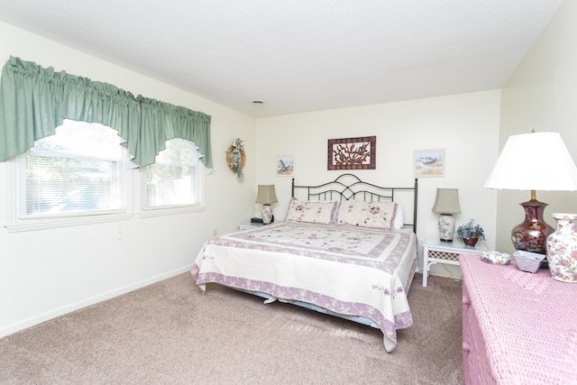 bedroom with carpet