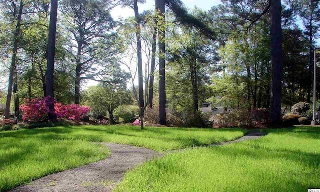 view of property's community with a yard