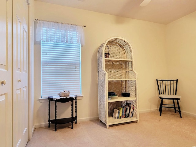 sitting room featuring carpet flooring