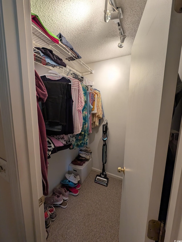 spacious closet with carpet floors