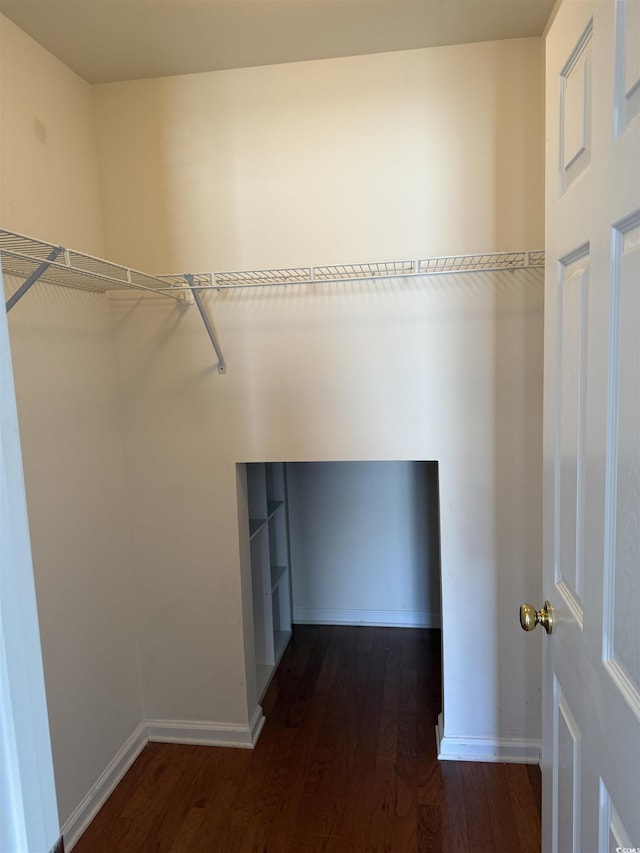 spacious closet with dark wood-type flooring