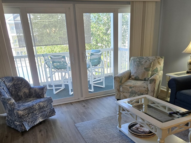 living room with hardwood / wood-style flooring