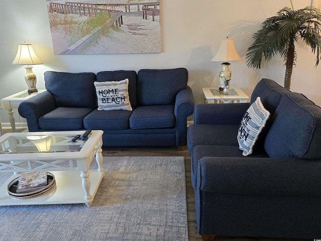 living room featuring hardwood / wood-style flooring