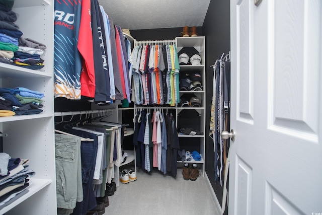 spacious closet with carpet