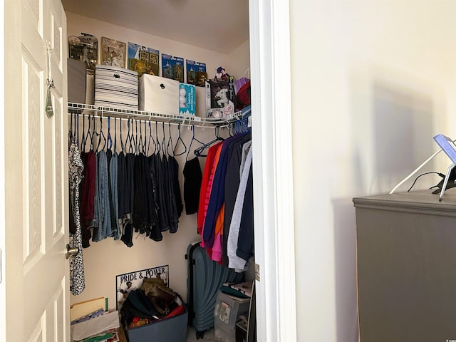 view of spacious closet