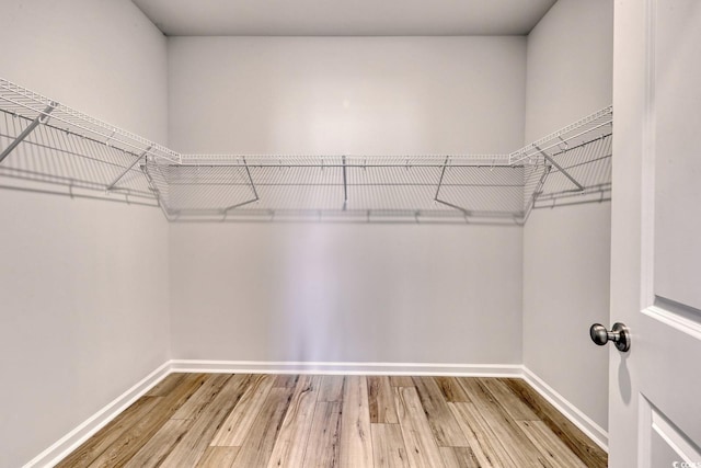 walk in closet with wood-type flooring